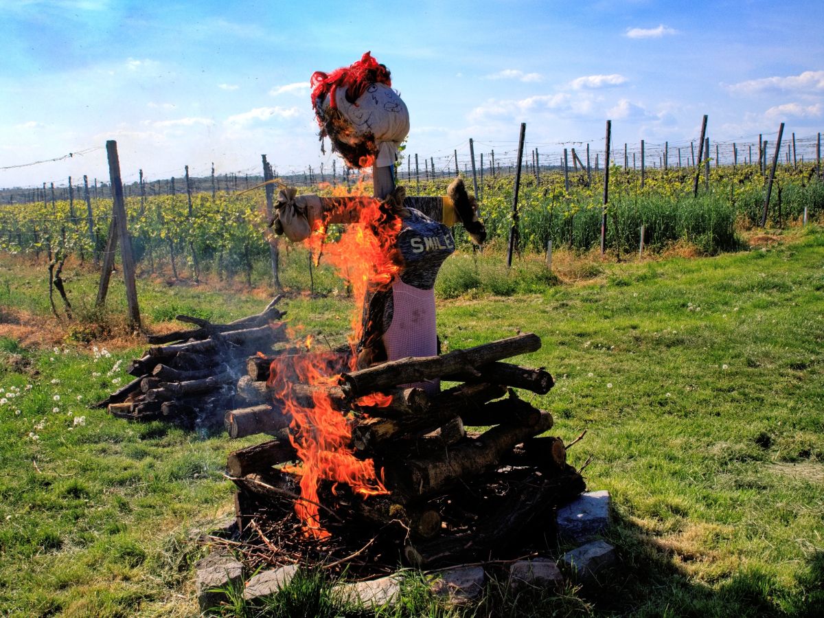 ČARODKY POD ROZHLEDNOU SLUNEČNÁ - IV. ročník