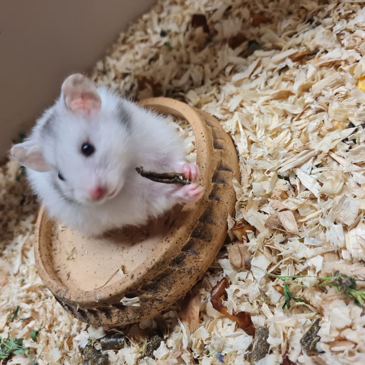 Poděkování školákům za příspěvek pro mini ZOO