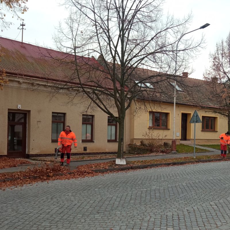 Podzimní evergreen: listí, listí, listí