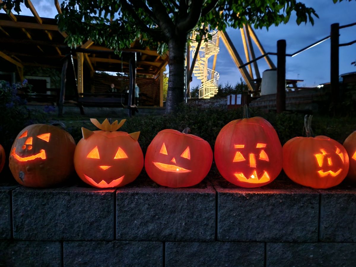 Od dýňobraní neodradil ani počáteční déšť