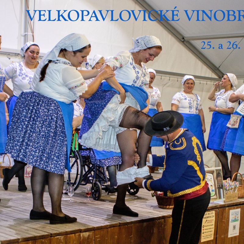 TIP na skvělý vánoční dárek - VSTUPENKA na Velkopavlovické vinobraní 2026