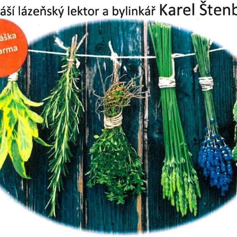 Objevte sílu bylinek a přírodní péče o zdraví!