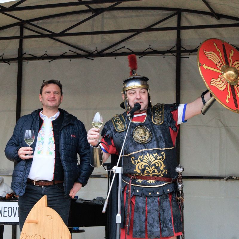 Svatomartinské otevřené sklepy 2025: Den plný vína, hudby a skvělé atmosféry