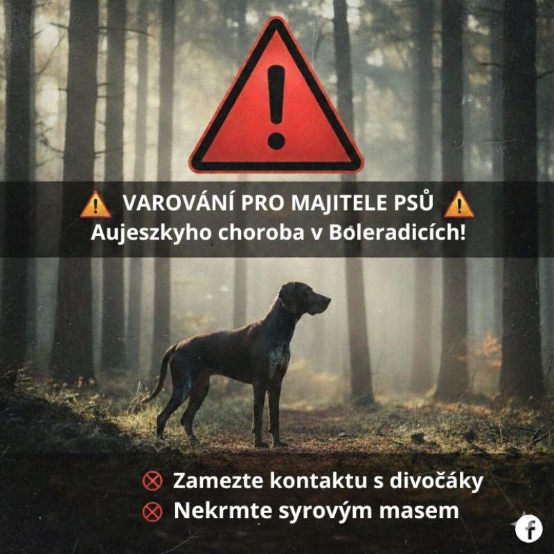  VAROVÁNÍ PRO MAJITELE PSŮ: Aujeszkyho choroba prokázána v Boleradicích!