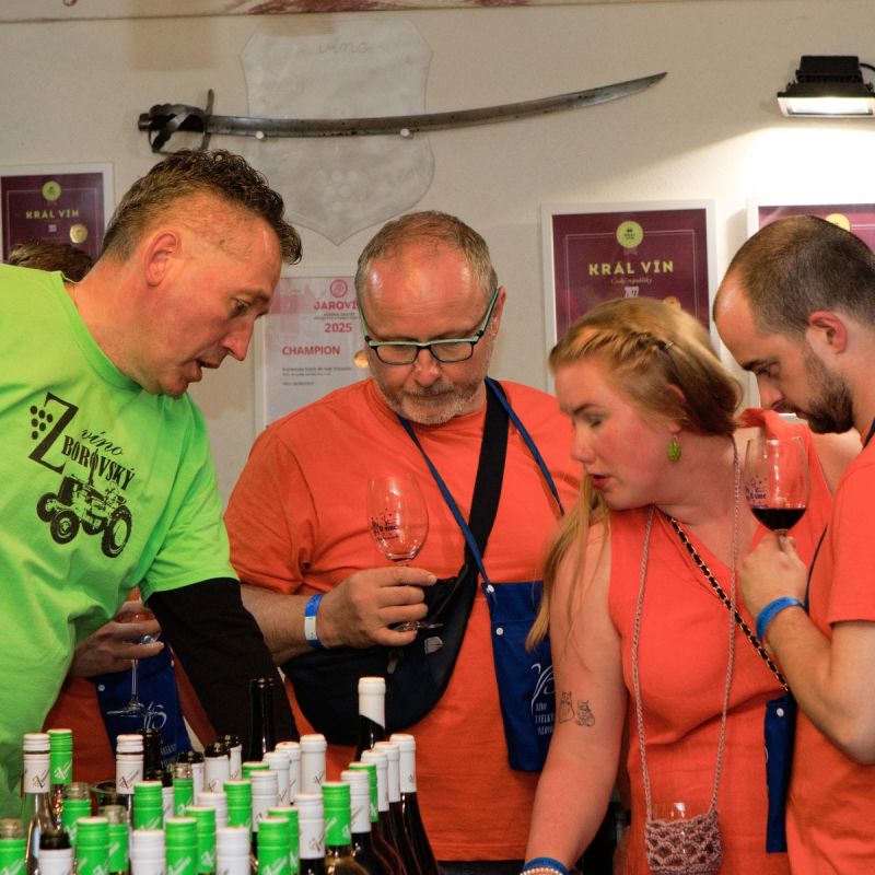 Noční otevřené sklepy aneb Víno v oranžovém 2026: letní noc plná vína, hudby a zážitků