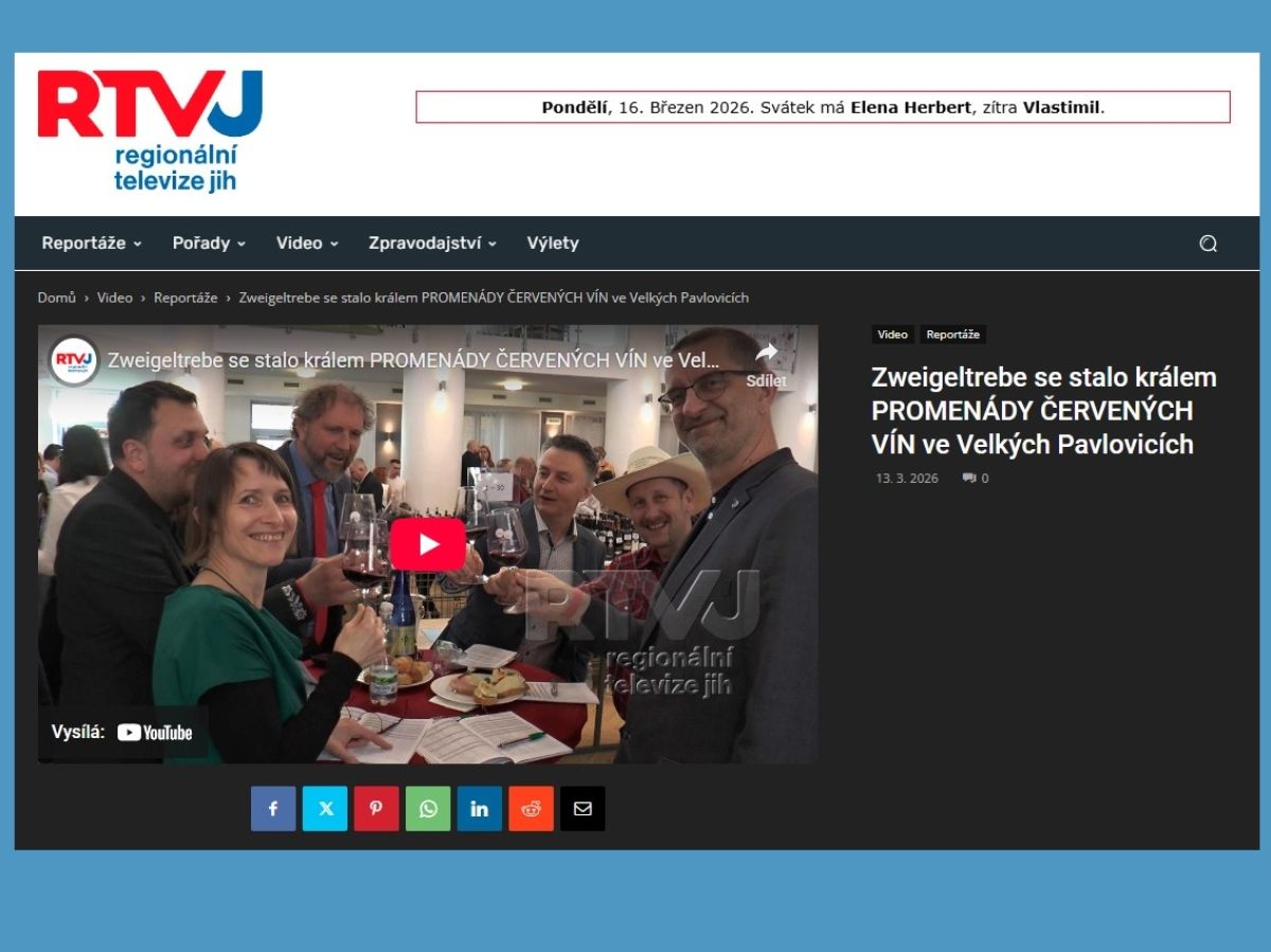 Videoreportáž RTV Jih - Zweigeltrebe se stalo králem PROMENÁDY ČERVENÝCH VÍN