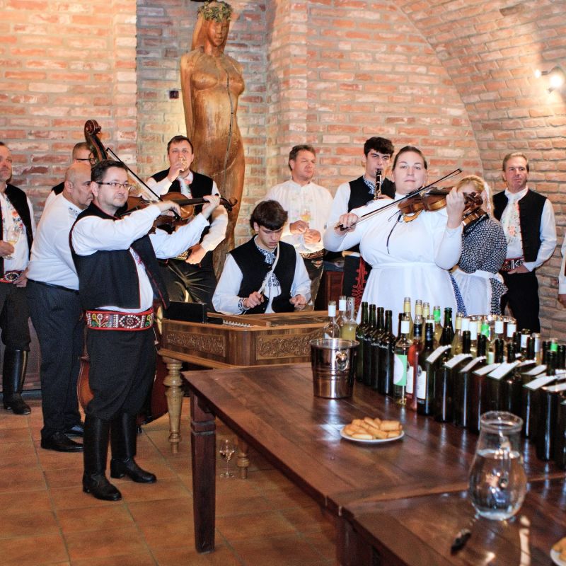 Videoreportáž RTV Jih - Ve Velkých Pavlovicích požehnali mladým vínům ročníku 2025