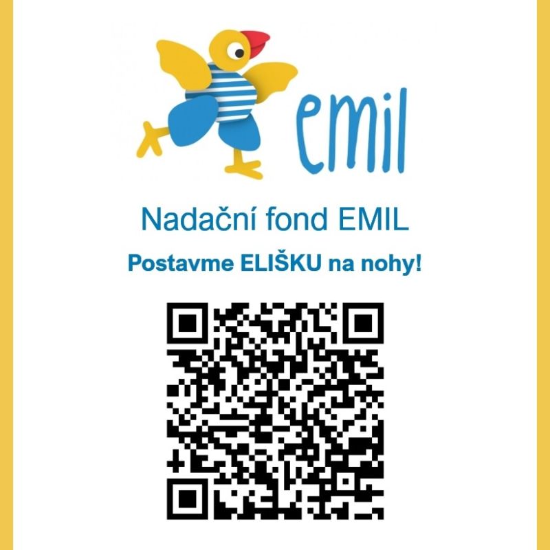 Štěpánský turnaj letos kope za Elišku