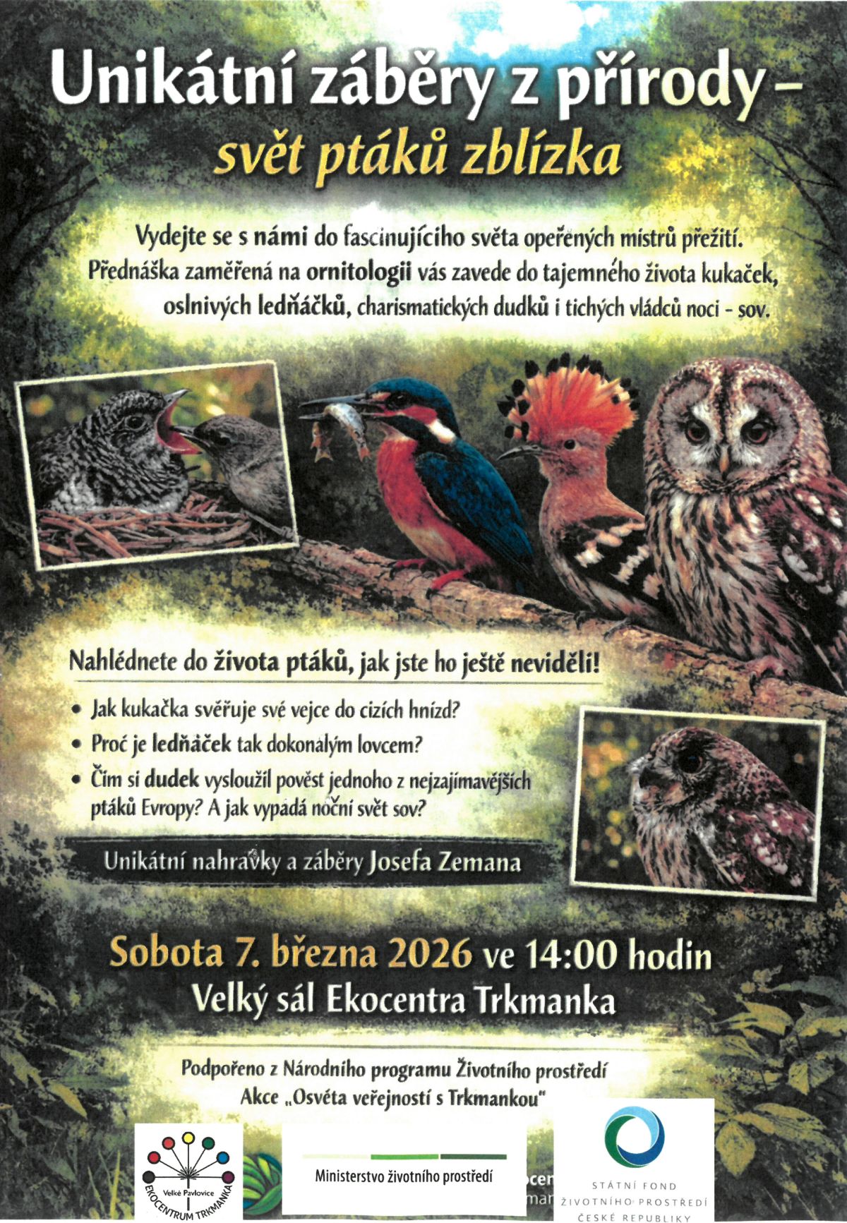 UNIKÁTNÍ ZÁBĚRY Z PŘÍRODY - SVĚT PTÁKŮ Z BLÍZKA; osvětová přednáška na téma ornitologie