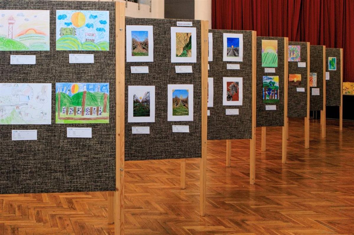 Kouzlo přírody: Slunce nad vinicemi